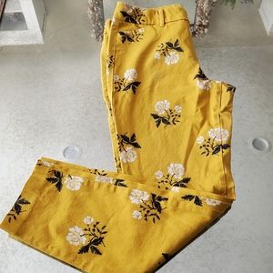 Pixie mid raise ankle pants